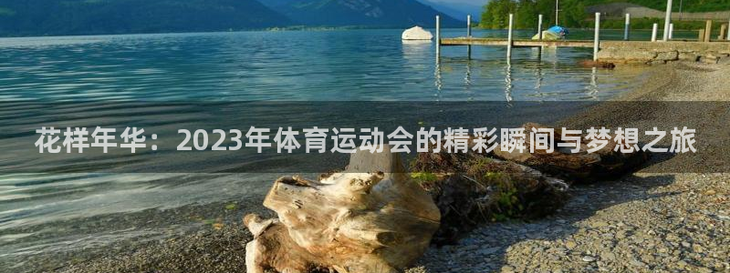 看球体育足球直播：花样年华：2023年体育运动会的精彩瞬间与梦想之旅